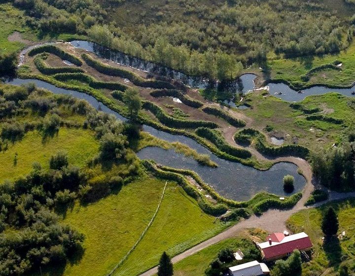 Introducere în Agro-Peisagistică - Seminar Practic