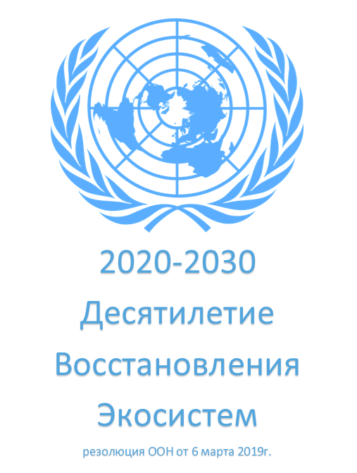 ООН объявила 2020-2030 - десятилетием восстановления экосистем