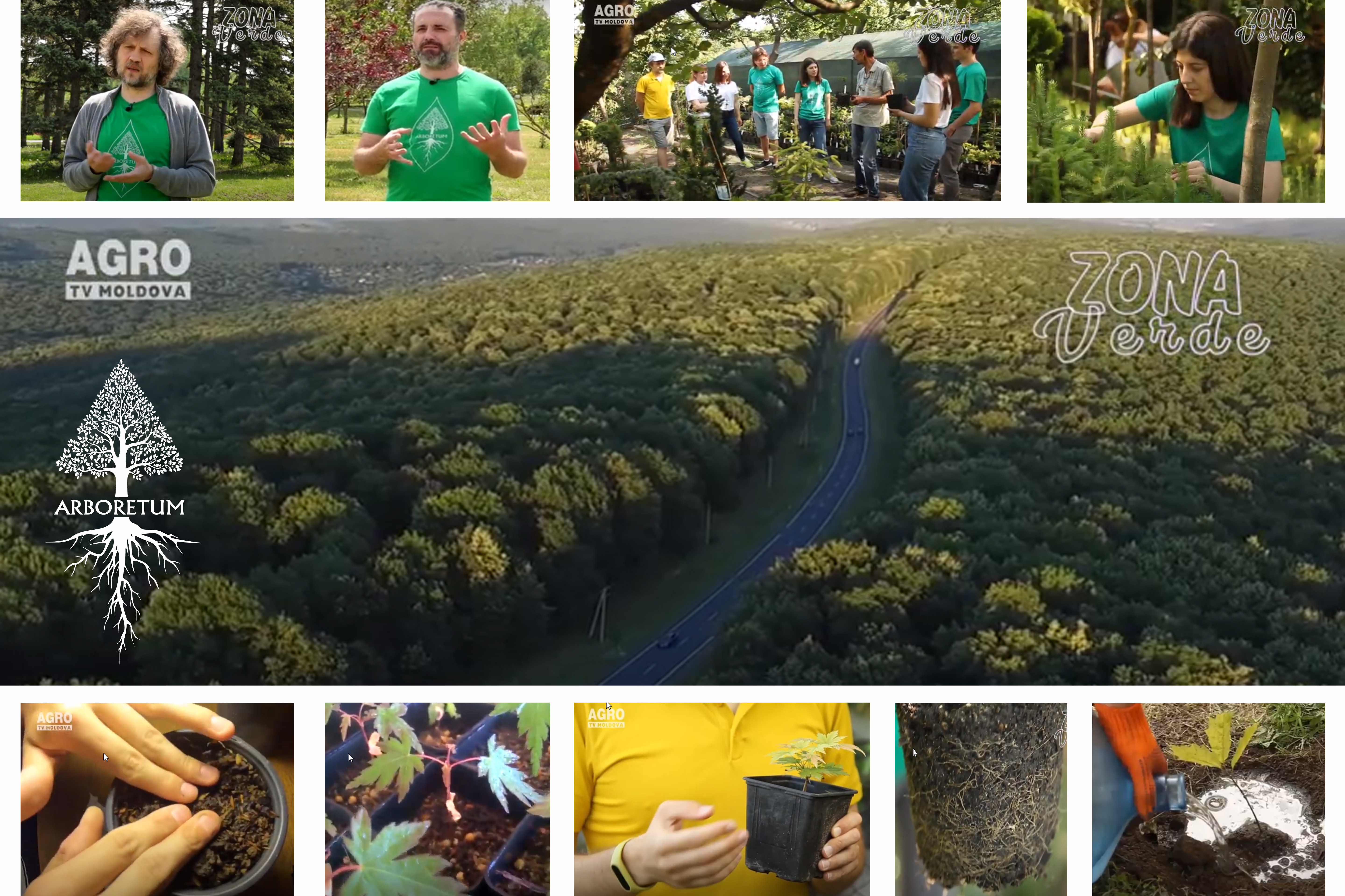 ARBORETUM - PROIECTUL CARE SE GÂNDEȘTE LA VIITORUL TĂU