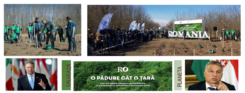 România și Ungaria plantează păduri în mase. Care sunt noile strategii ecologice propuse de statul Ungar pentru îmbunătățirea ecologiei, aflați cele 8 puncte!