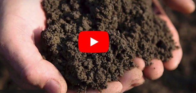 Soil Erosion in Moldova - Highly Underestimated Consequences [VIDEO] [VIDEO]