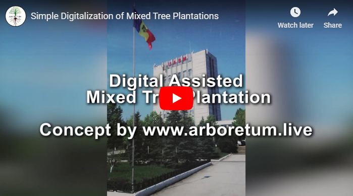 Plantare Mixtă Digital Asistată [VIDEO]