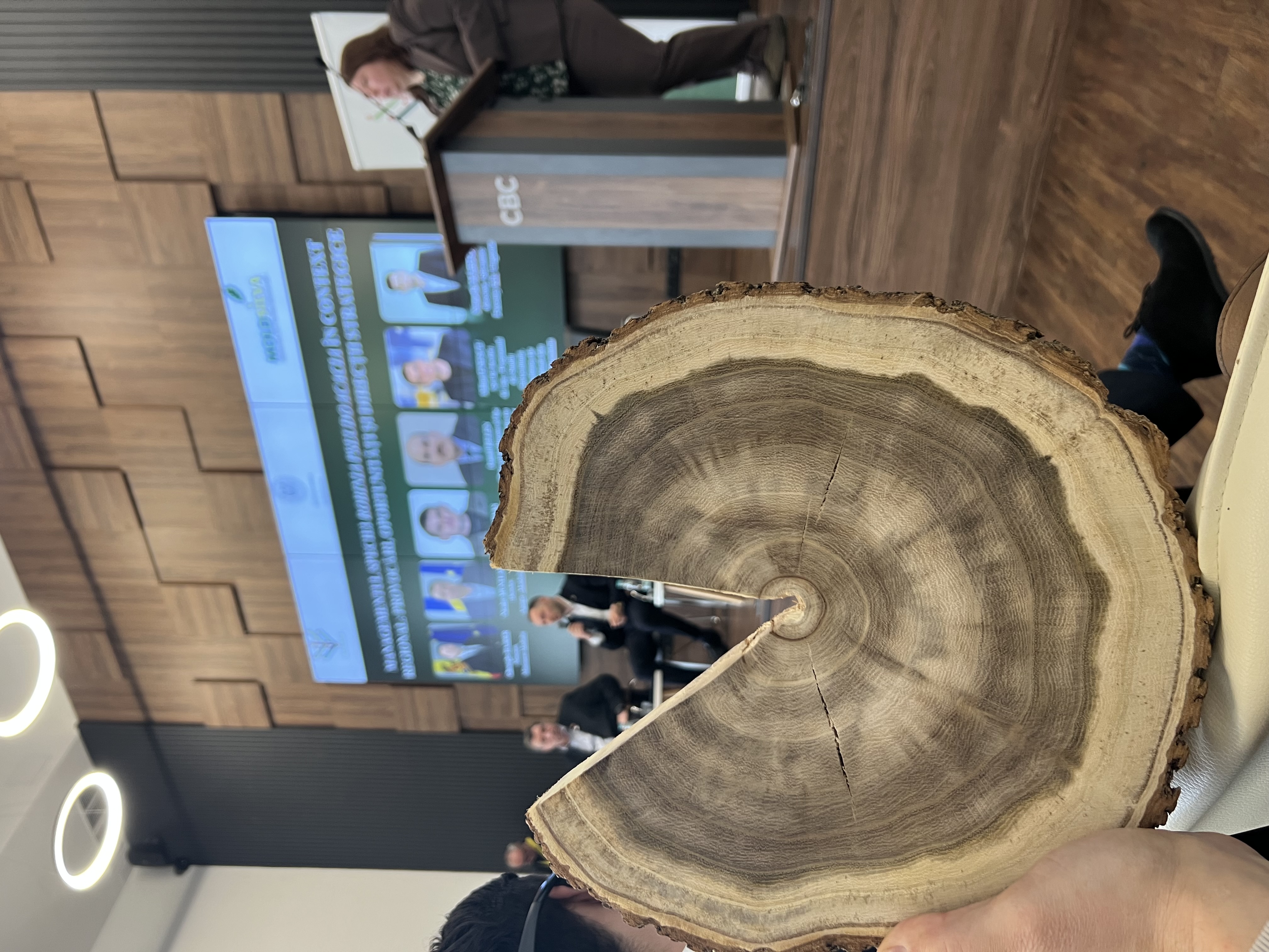 Reflecții asupra conferinței  salcâmului: de la emoții la consens – prin capacitatea de maturizare a dialogului