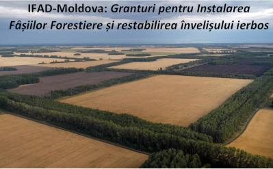 Granturi pentru Înființarea Perdelelor Forestiere și a Pășunilor