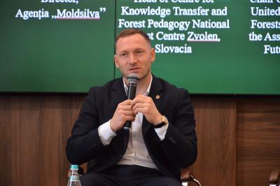 Victorie pentru echilibru în împădurire: salcâmul nu va depăși 15–20%