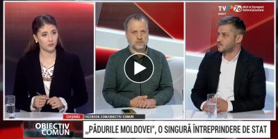 Moldsilva Reform on TVR Moldova: Yes to the Merger, but a Forest Is More Than Timber