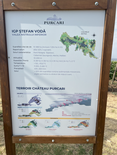 Purcari: Viticultură de precizie în armonie cu Natura 
