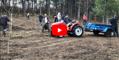 More than 100 new trees were planted at the National Botanical Garden of Moldova [VIDEO]