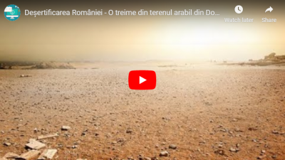Deșert adevărat în sudul României [VIDEO]