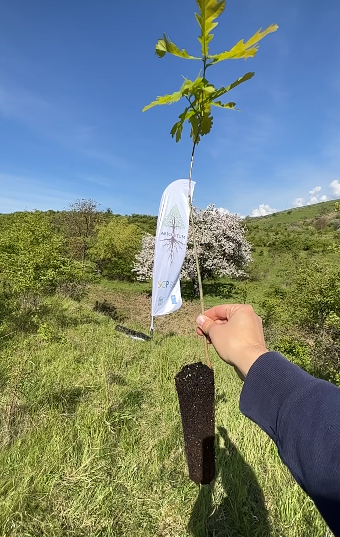 Apel deschis pentru accelerarea cercetării și adoptării culturii containerizate în Republica Moldova