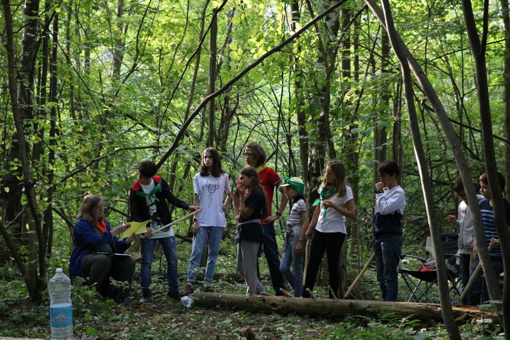 Школьники на Экскурсии в лесу