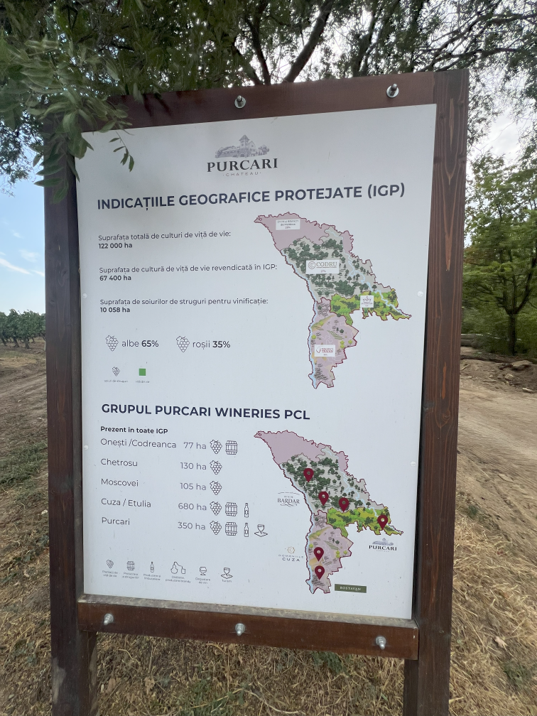 Информационное Пано Purcari