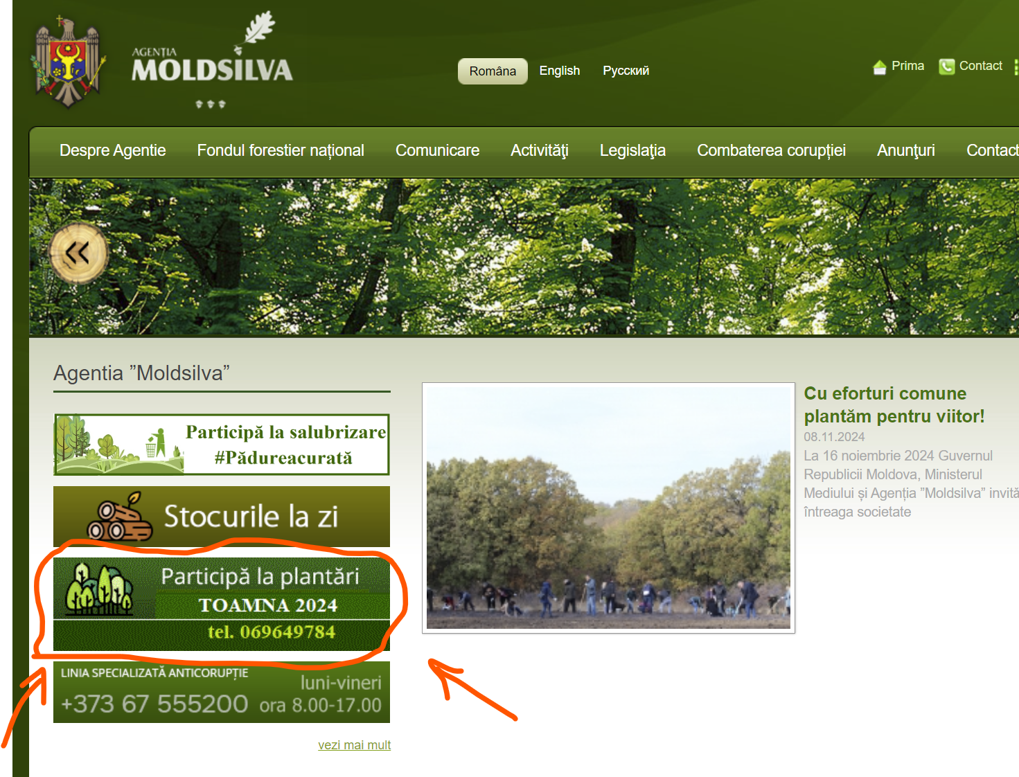 Screenshot Site-ul MoldSilva